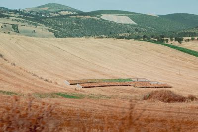 Battalgazi'de 5.600 m² Müstakil Tapulu Tarla